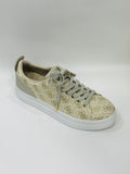 TENNIS GUESS GWGIAA6